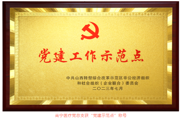 殊荣双至·砥砺前行——尚宁医疗荣获综改示范区非公党委两项荣誉